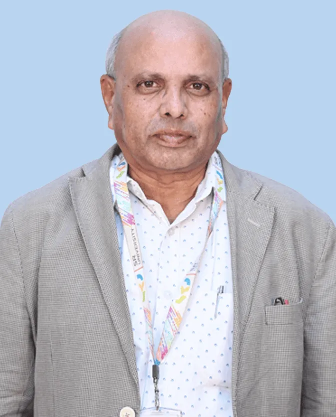 SR University Faculty